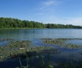 Joshofen Weiher